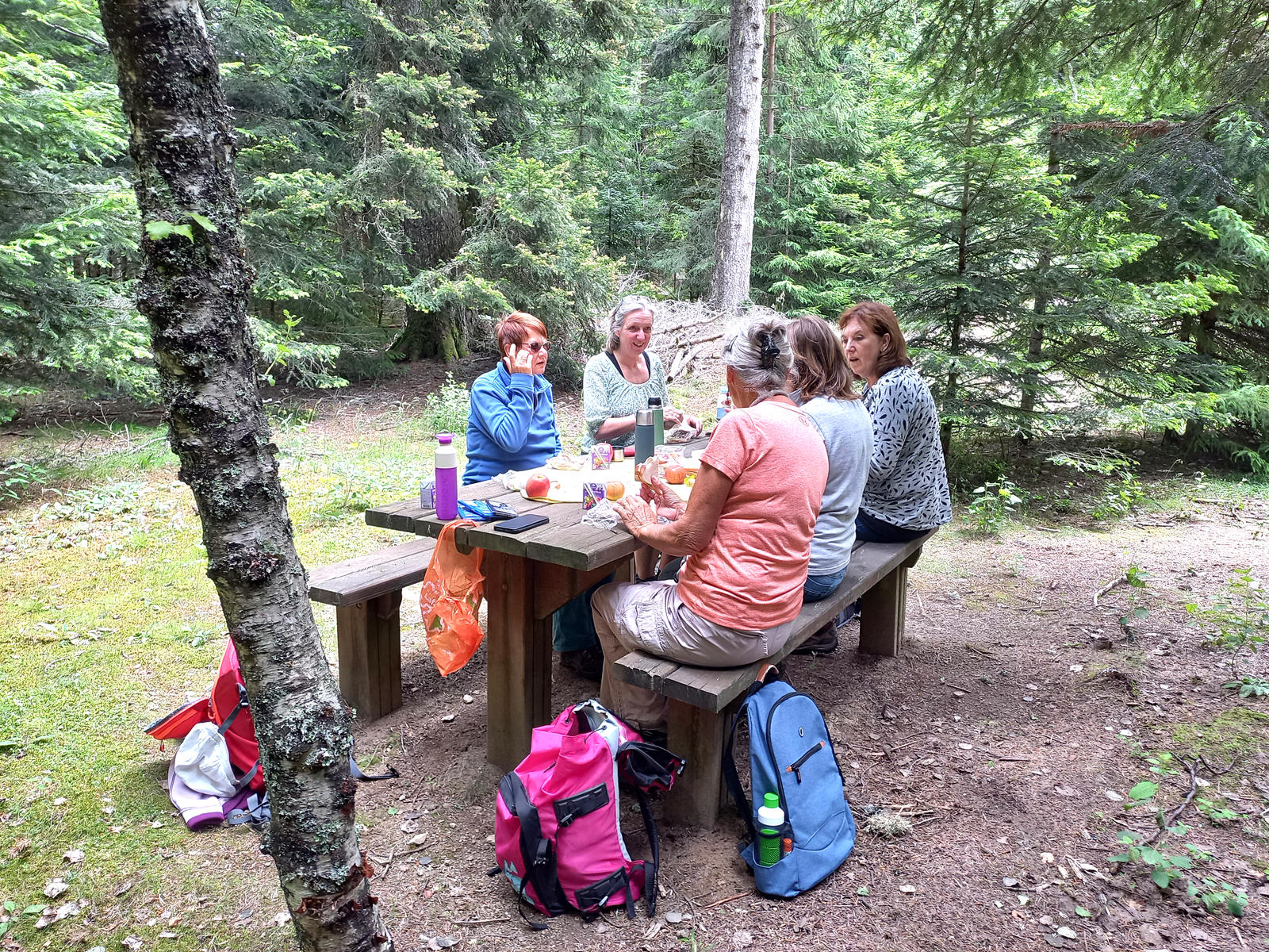 Déjeuner en foret de Boisgrand