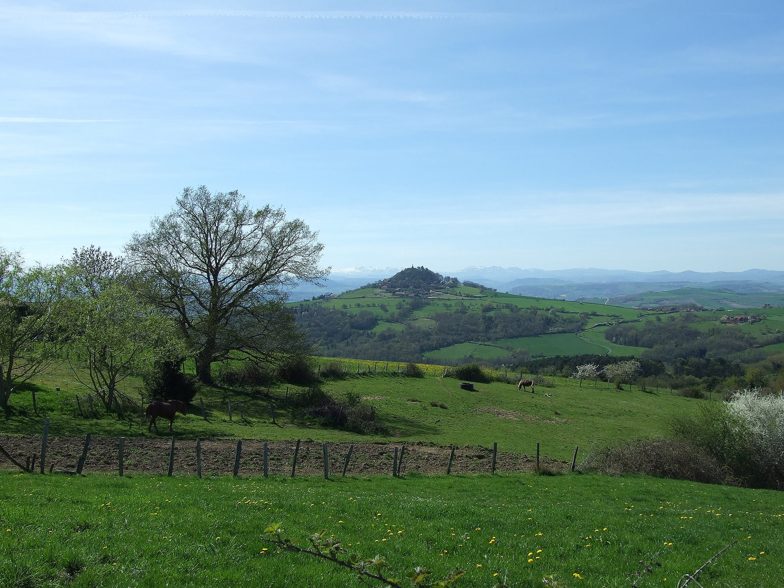 Randonner à Sauxillanges avec vue sur Usson