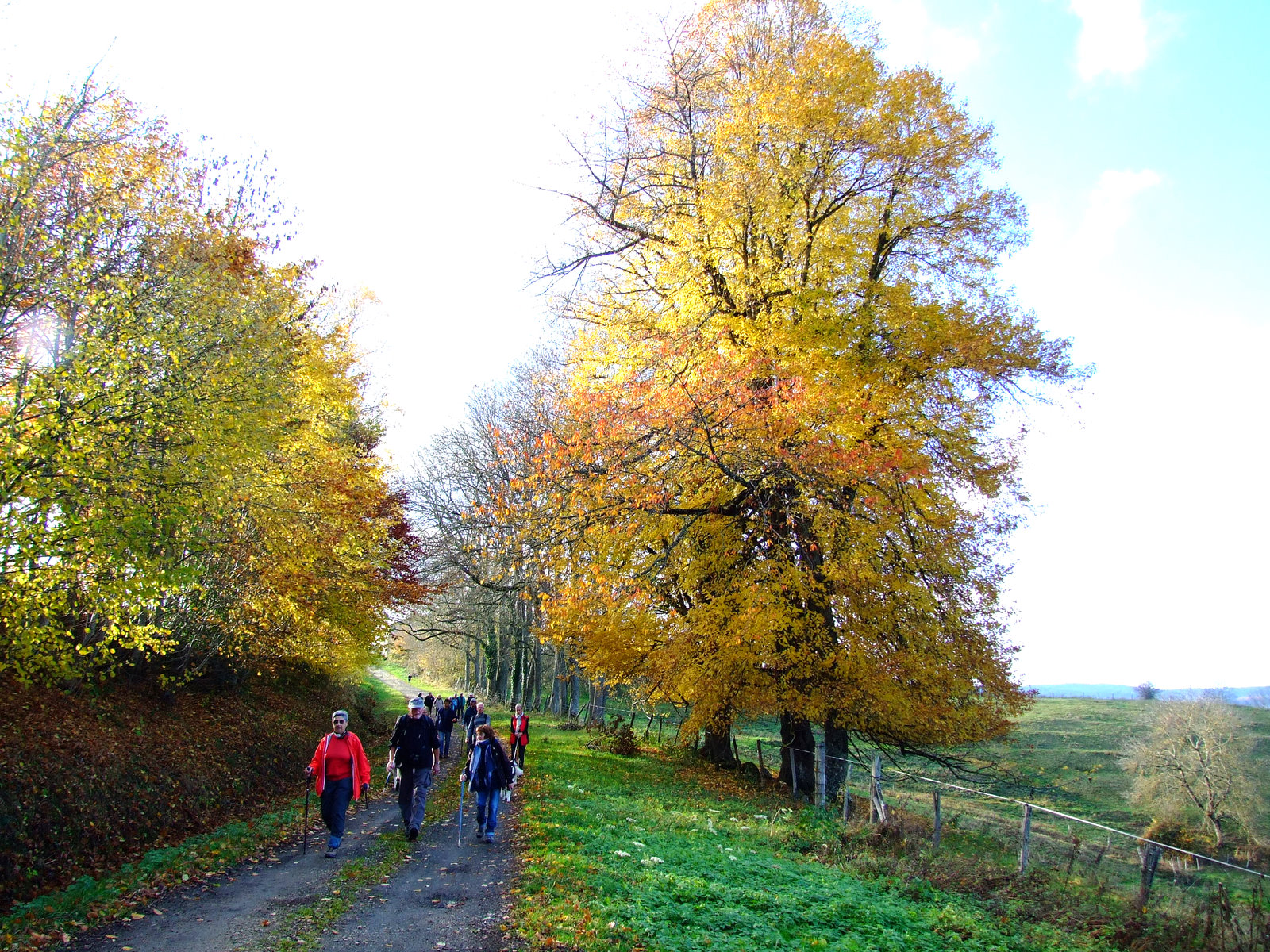 Herfstwandeling in de Livradois Forez