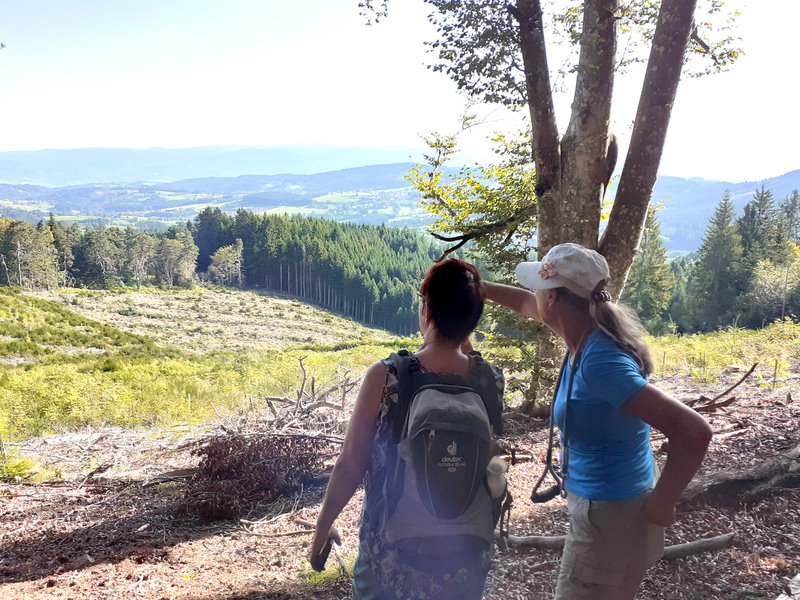 Wandelen bij St. Eloy la Glacière in de Livradois Forez